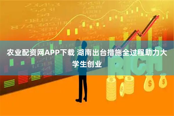 农业配资网APP下载 湖南出台措施全过程助力大学生创业