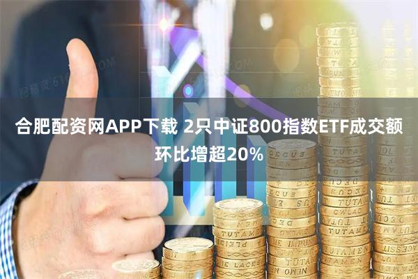 合肥配资网APP下载 2只中证800指数ETF成交额环比增超20%