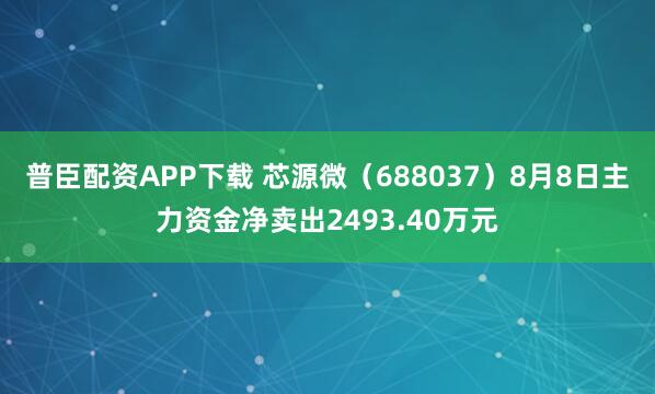普臣配资APP下载 芯源微(688037)8月8日主力资金净卖出2493.40万元