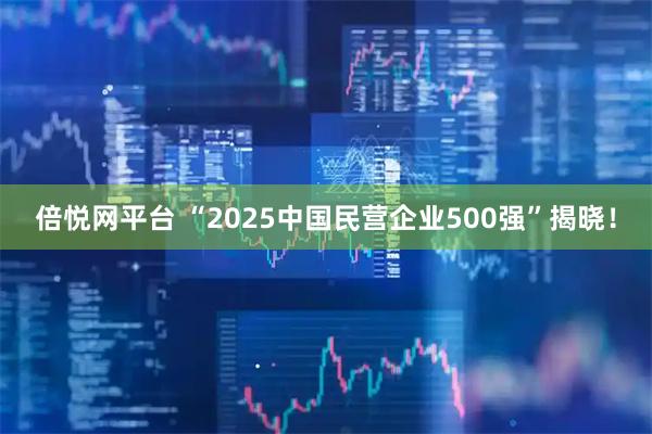 倍悦网平台 “2025中国民营企业500强”揭晓!