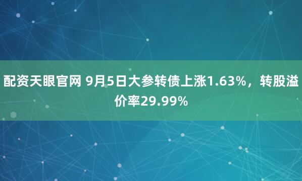 配资天眼官网 9月5日大参转债上涨1.63%，转股溢价率29.99%
