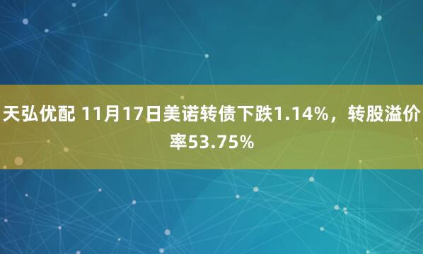 天弘优配 11月17日美诺转债下跌1.14%,转股溢价率53.75%